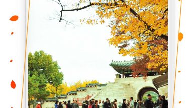 Cung điện Gyeongbok điểm đến nổi bật Hàn Quốc